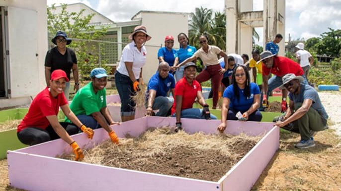 Raised farming beds