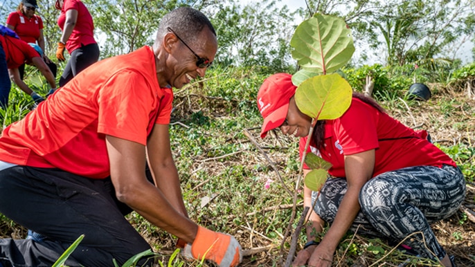 Employees at tree planting activity