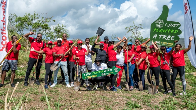 Employees celebrate planting trees